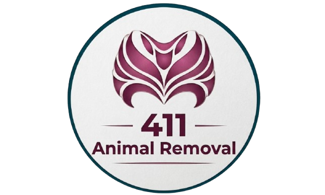 411 Animal Removal
